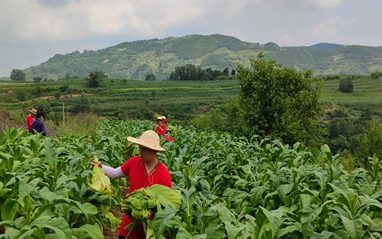 758b748476e226437c78ba075bc9723