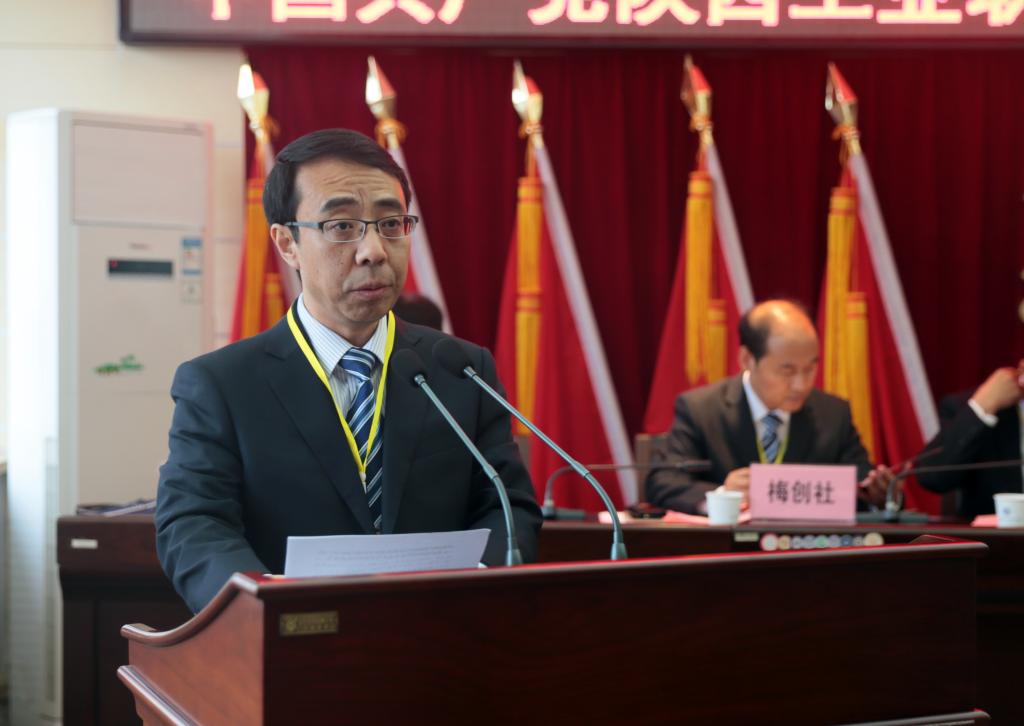 代表资格审查小组组长、纪委书记康强同志做代表资格审查报告